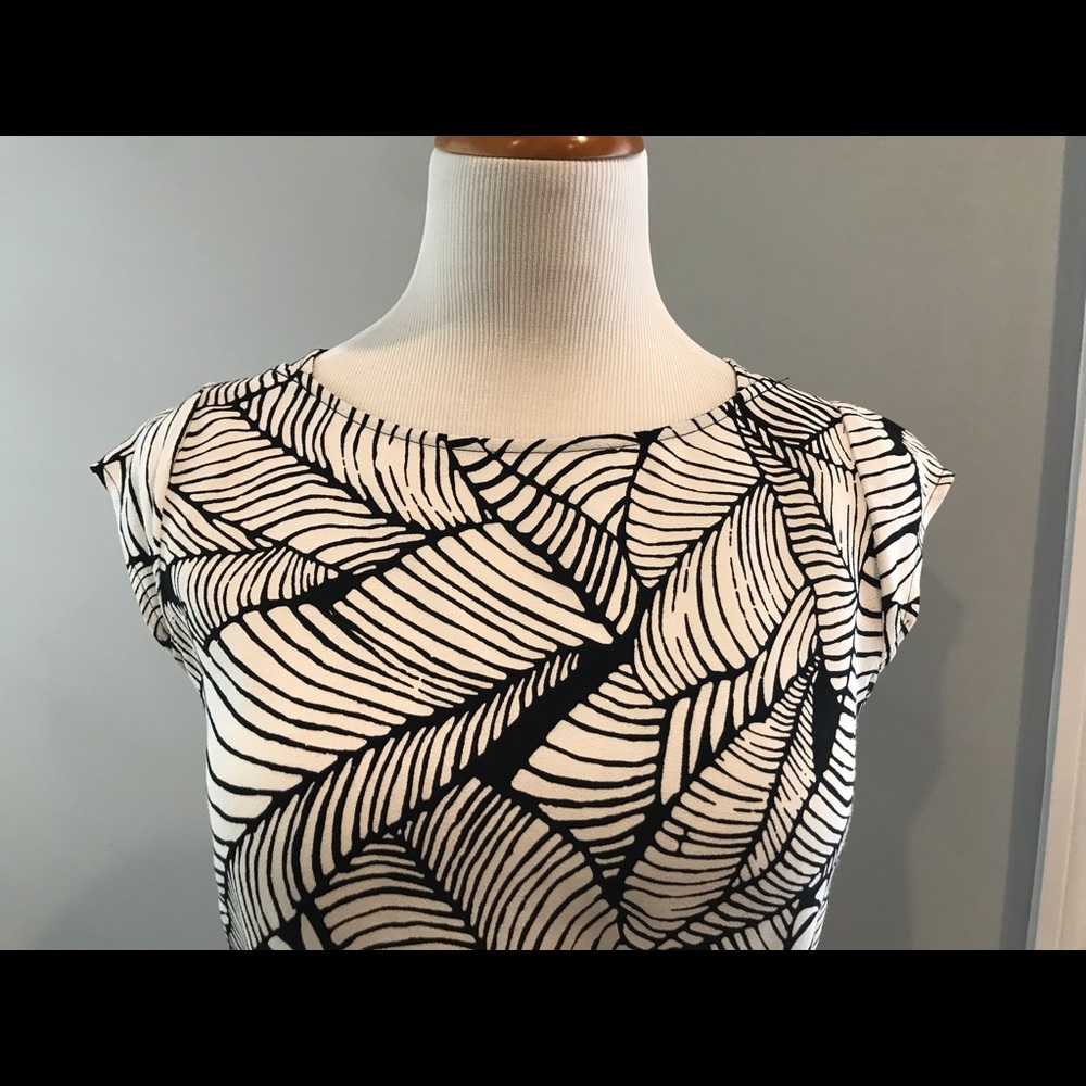 Loft Petite Dress